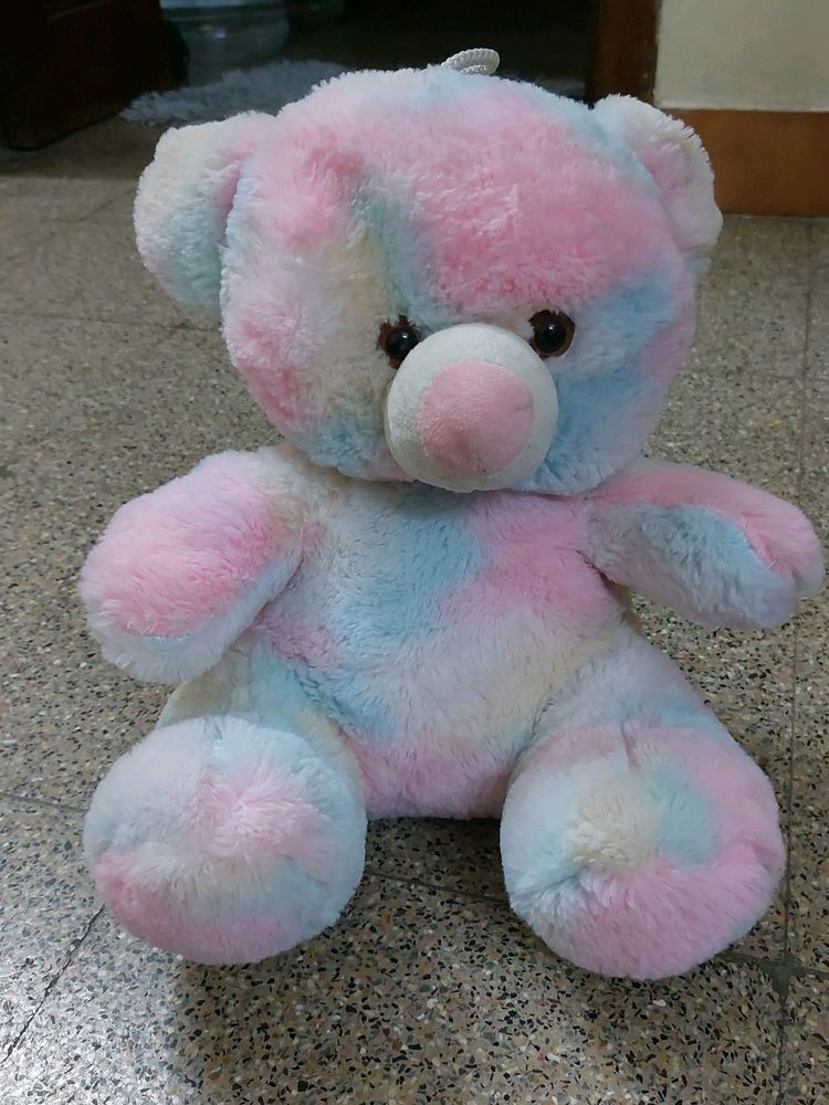 Cute Multi Color Teddy With Hanging Rope