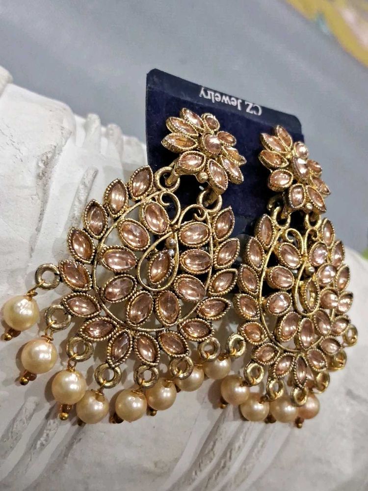 Beautifull Long Earrings