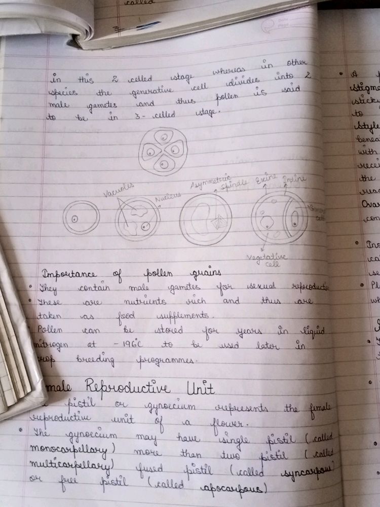 Class 11 and 12 Biology Notes