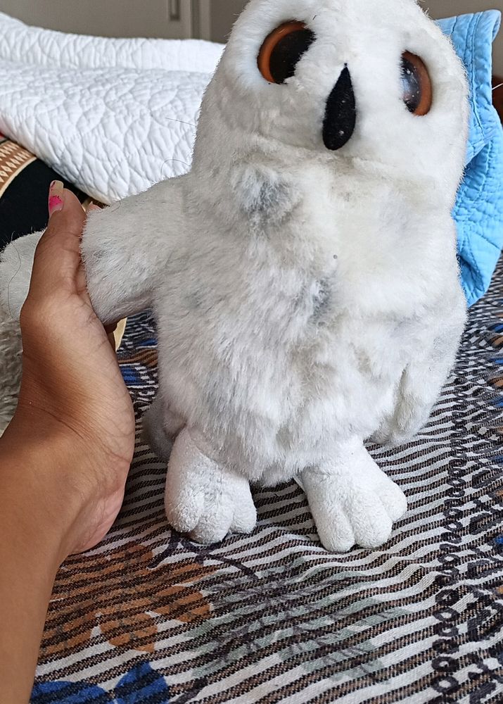 Cute Owl Soft Toys 🧸