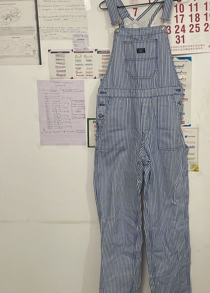 Brand New H&M Dungarees With Tag