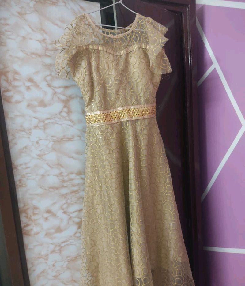 Party Wear Long Gown