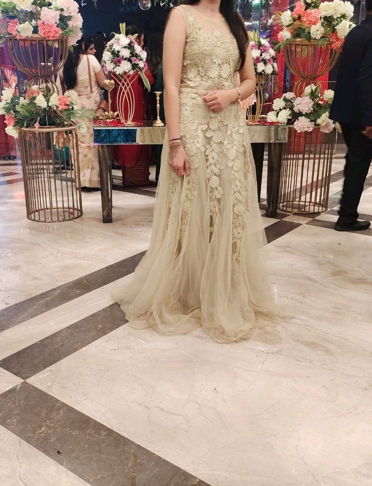 A Beautiful Ethnic Gown