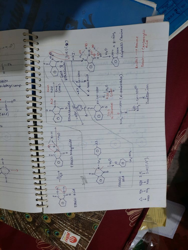 Organic Chemistry Notes