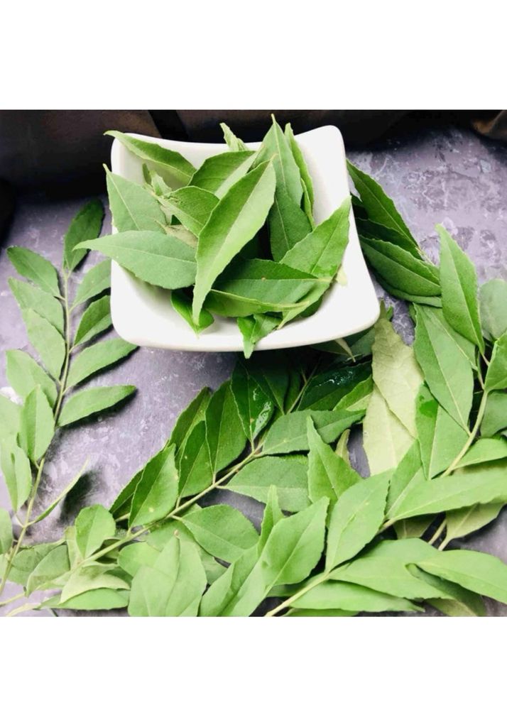 Curry leaves 🍃