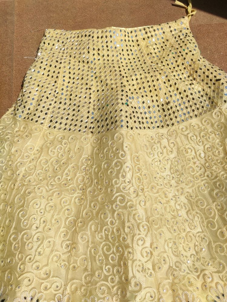 Embroidered Lehenga Choli