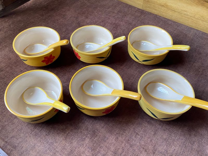 Set Of 6 Soup Bowls & Spoons