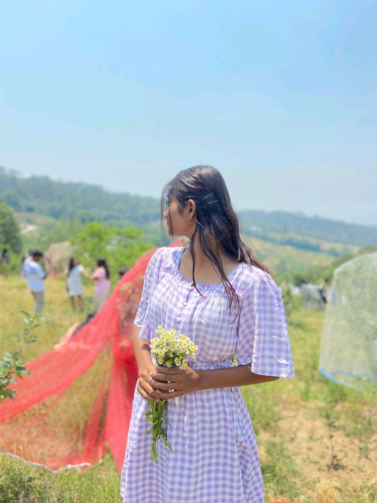 Womens Lavender Colour Midi Dress