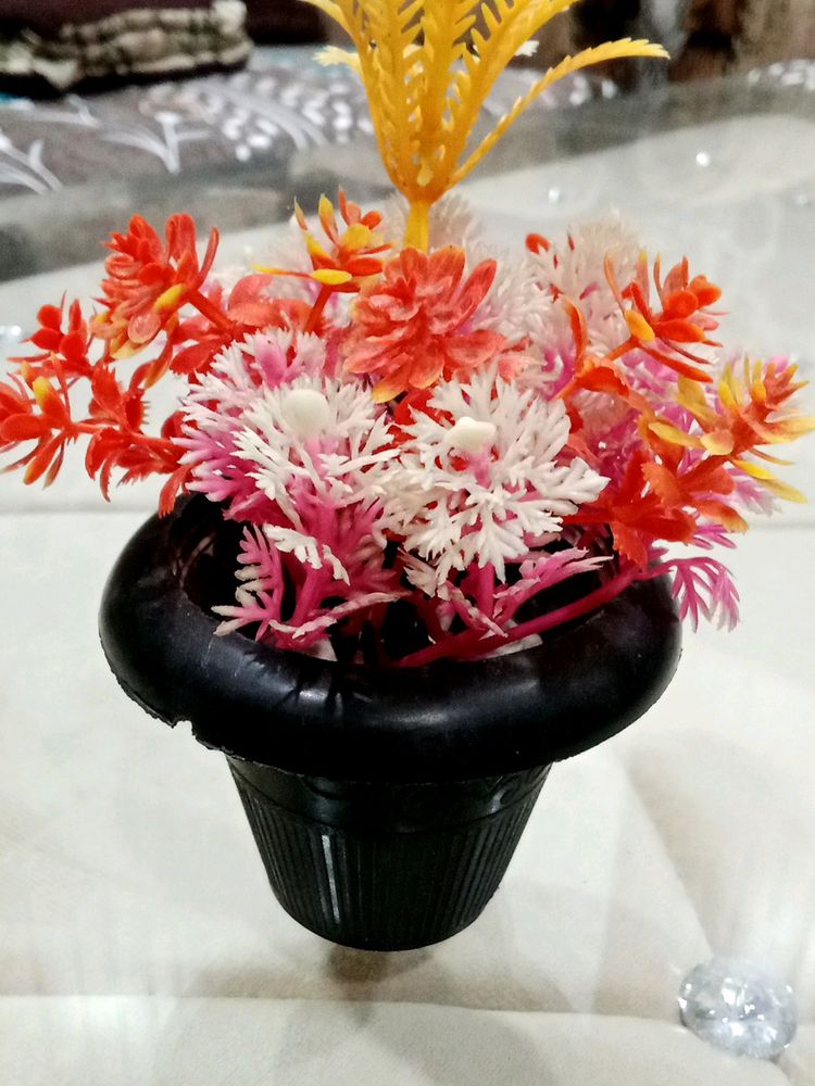 Beautiful Flowers Pot