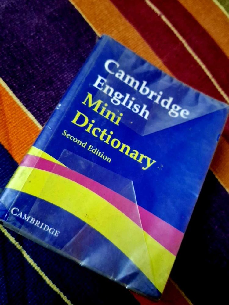 Mini Dictionary