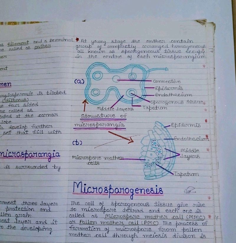 Biology & Physics Notes For Class 12th CBSE