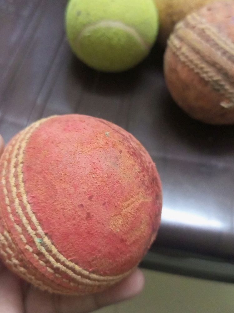 Sg Professional Cricket Ball