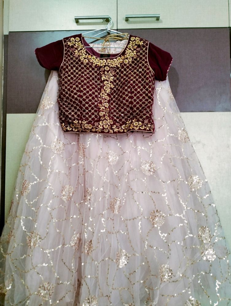 Brand New Lehenga Choli