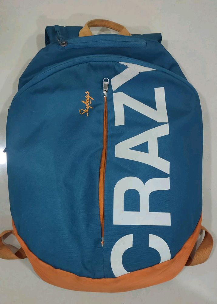 Skybags Bagpack