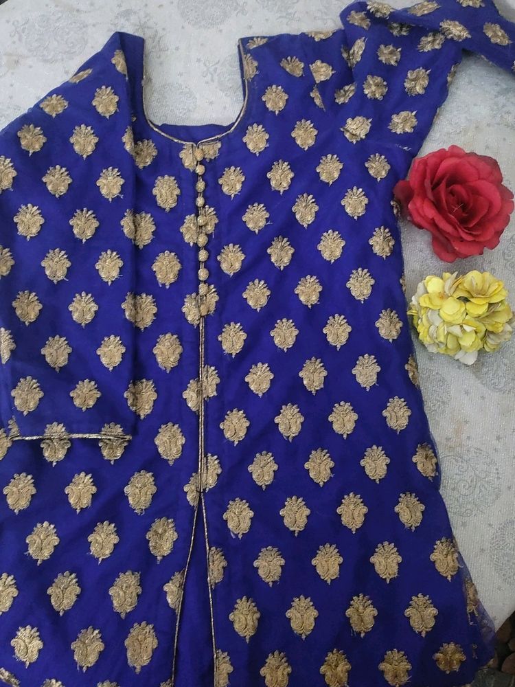 Festive Wear Kurti