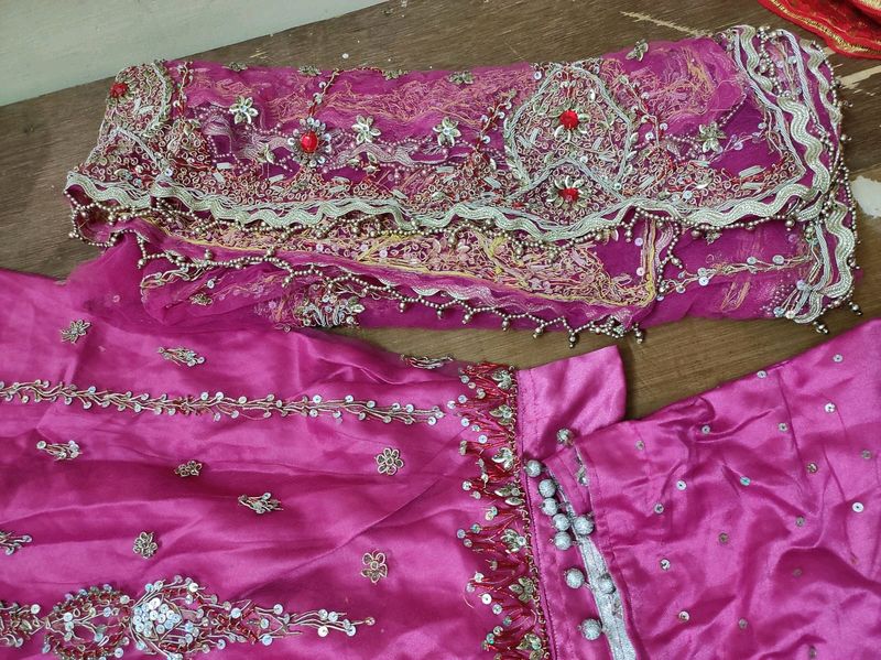 Partywear Lehanga Choli