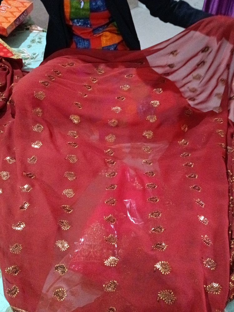 Full Sequence Saree Havey Pallu