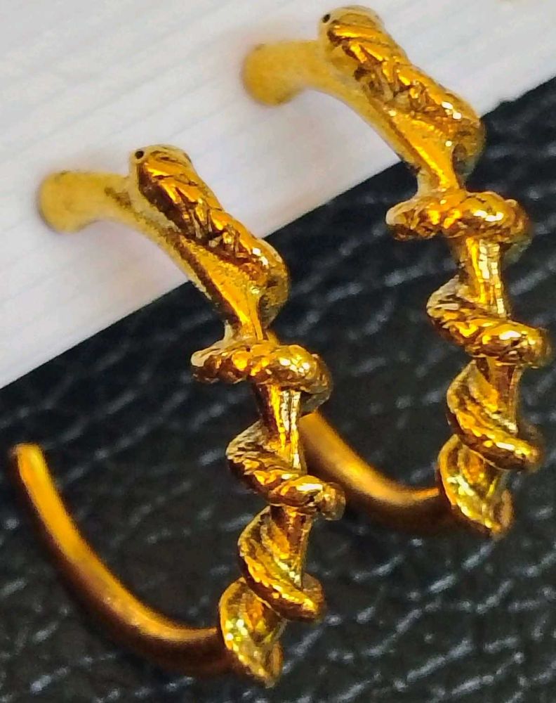 Snake hoop Earrings!