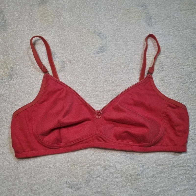 Rust Color Bra