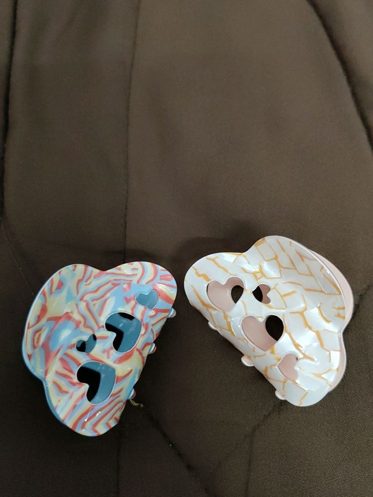 Elegant Duo Hair Clips Set