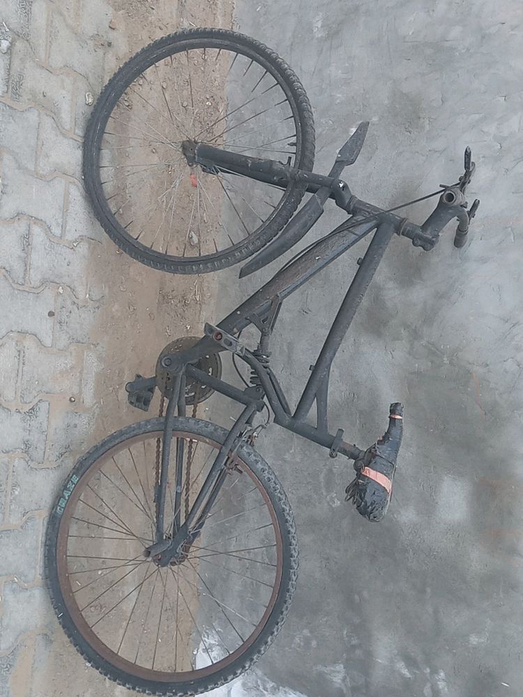 Cycle In Working Condition