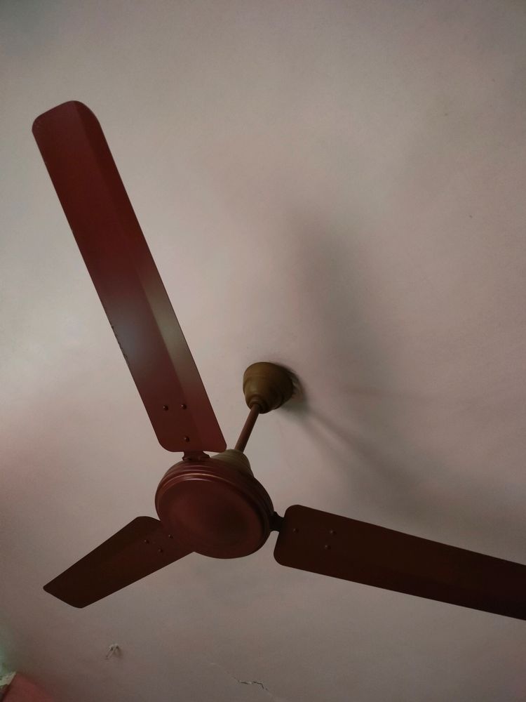 Usha Fan