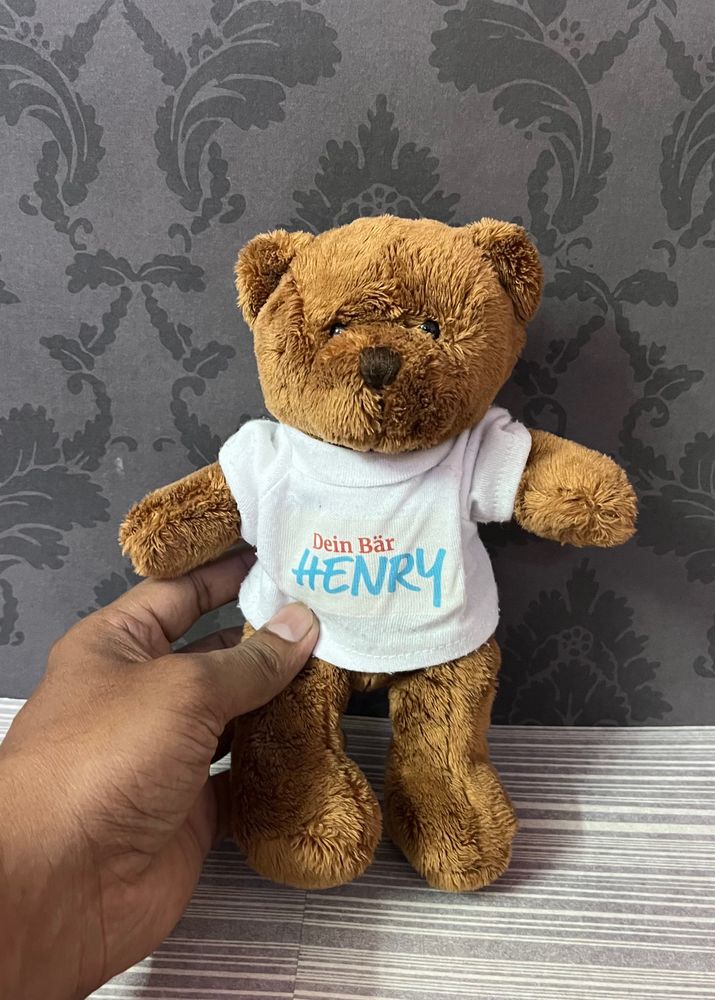 Cute Teddy Bear Softtoy