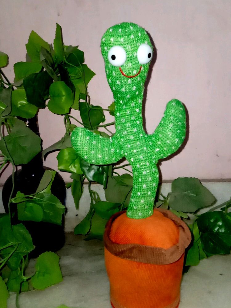 Dancing Cactus