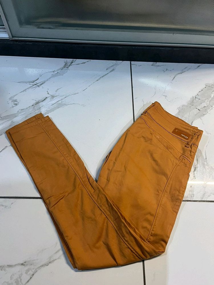 Mustard Color New Pant.