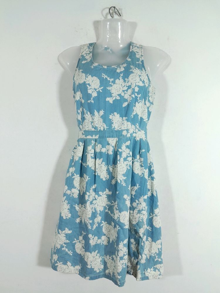 Blue And White Dress (Women's)