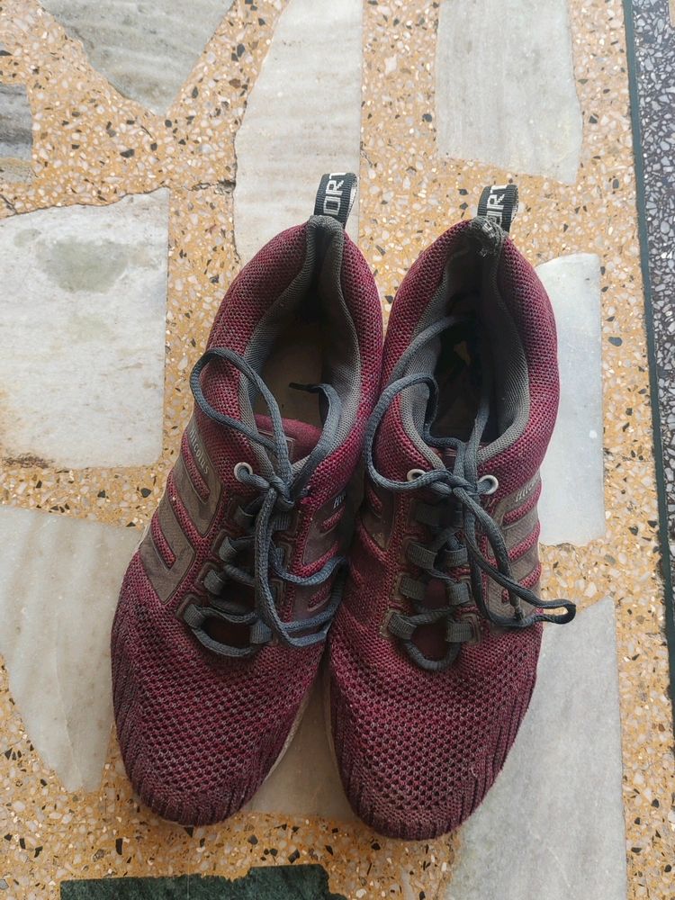 Maroon casual sports shoe.