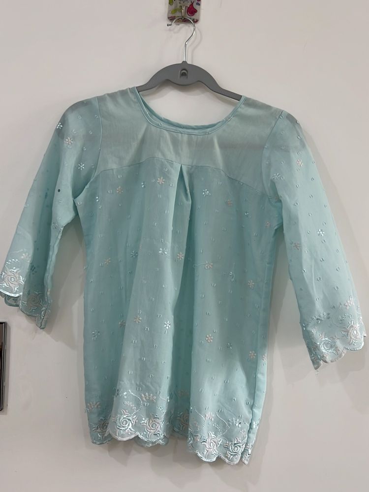 Sky Blue Chikan Top