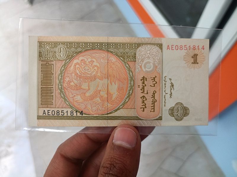 Mangolia Currency Note