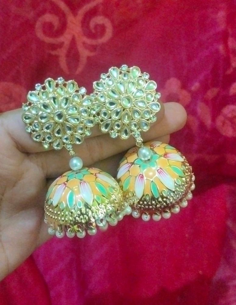 Multi Colour Earings