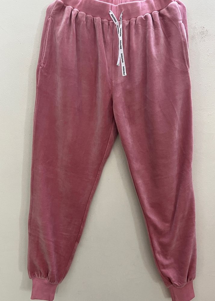 Sassafras Velvet Jogger