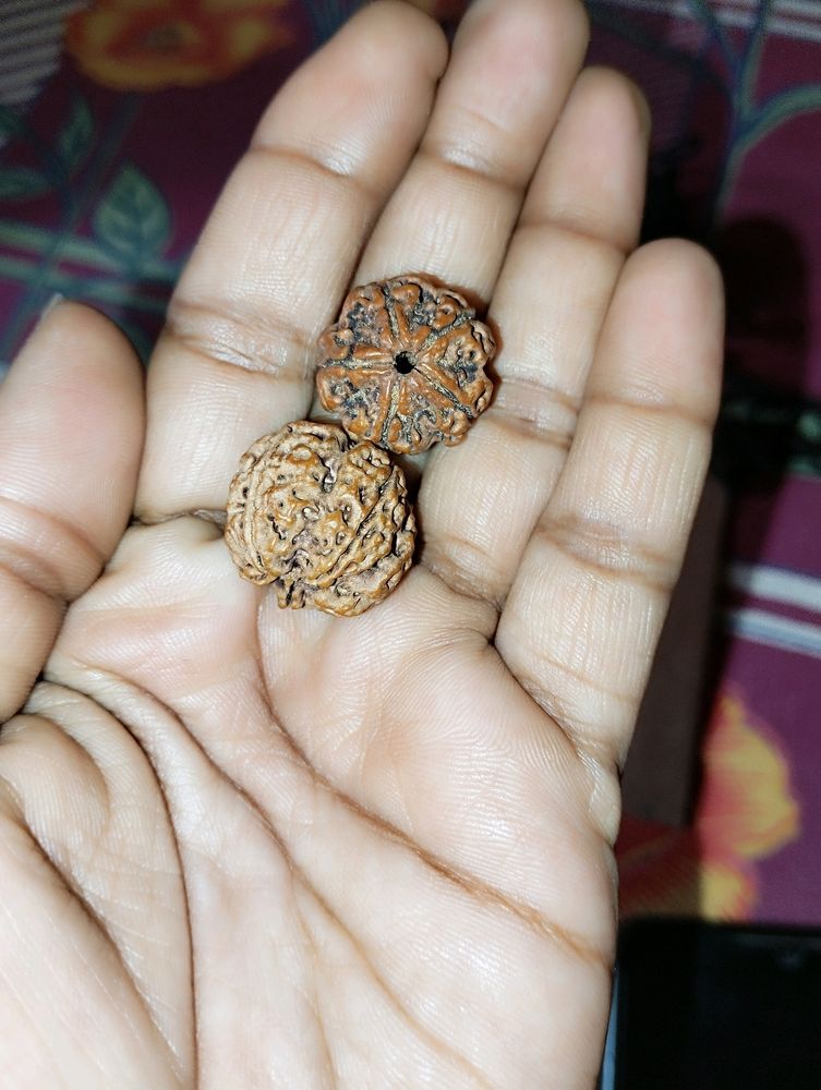 Rudraksha With Vibhuti &kala Dhaga