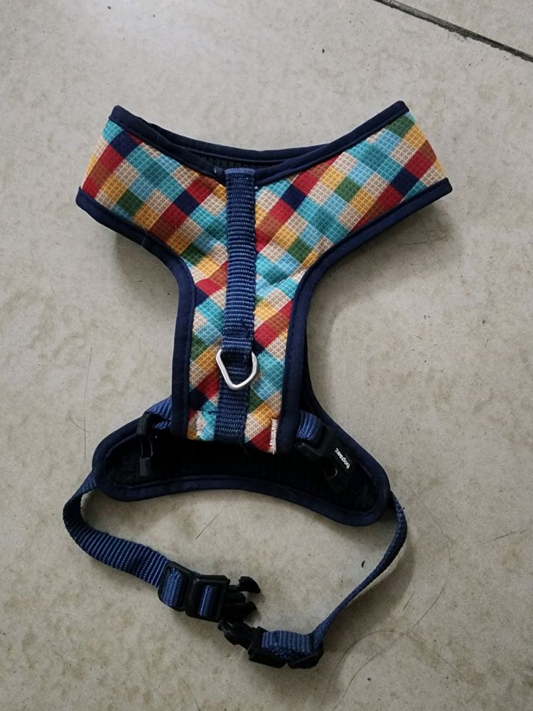 Puppy Harness and Red Collar