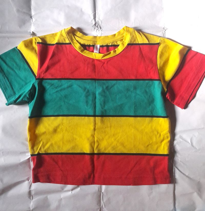 Multicolor Striped Women's Crop Top Girl's Tee 🌈