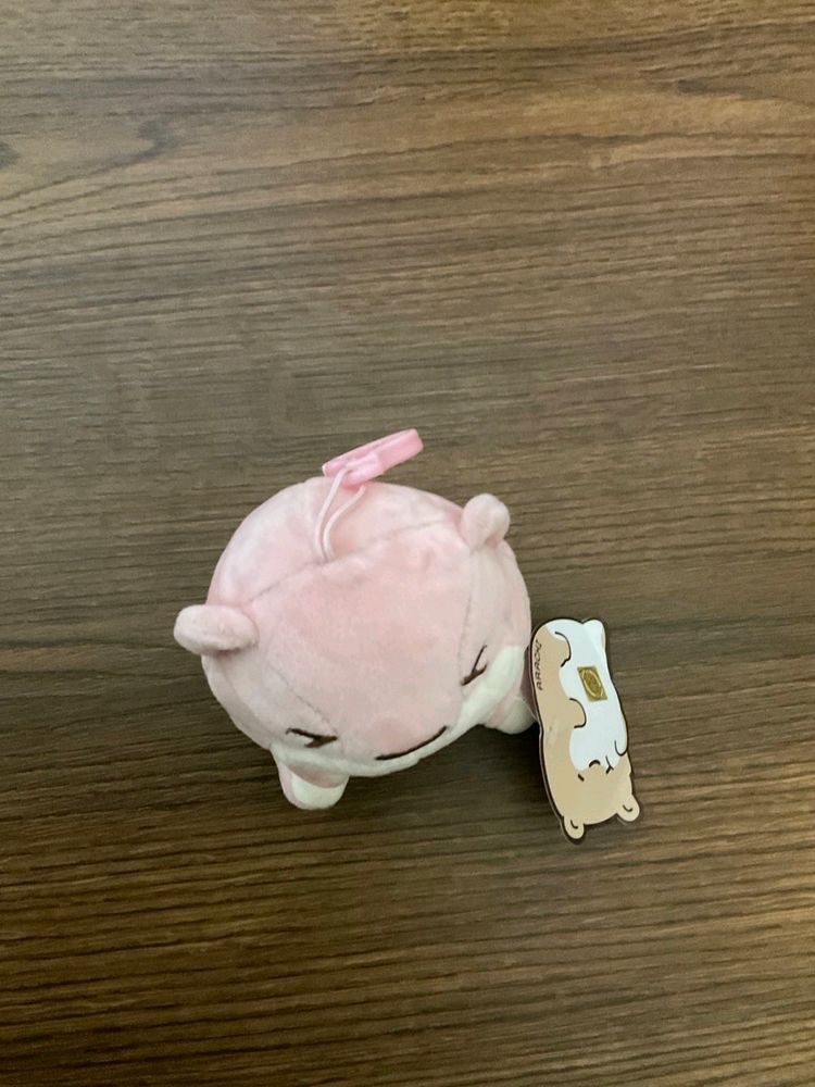 Pinteresty aesthetic toy🧸with  Hook Or Bag Charm