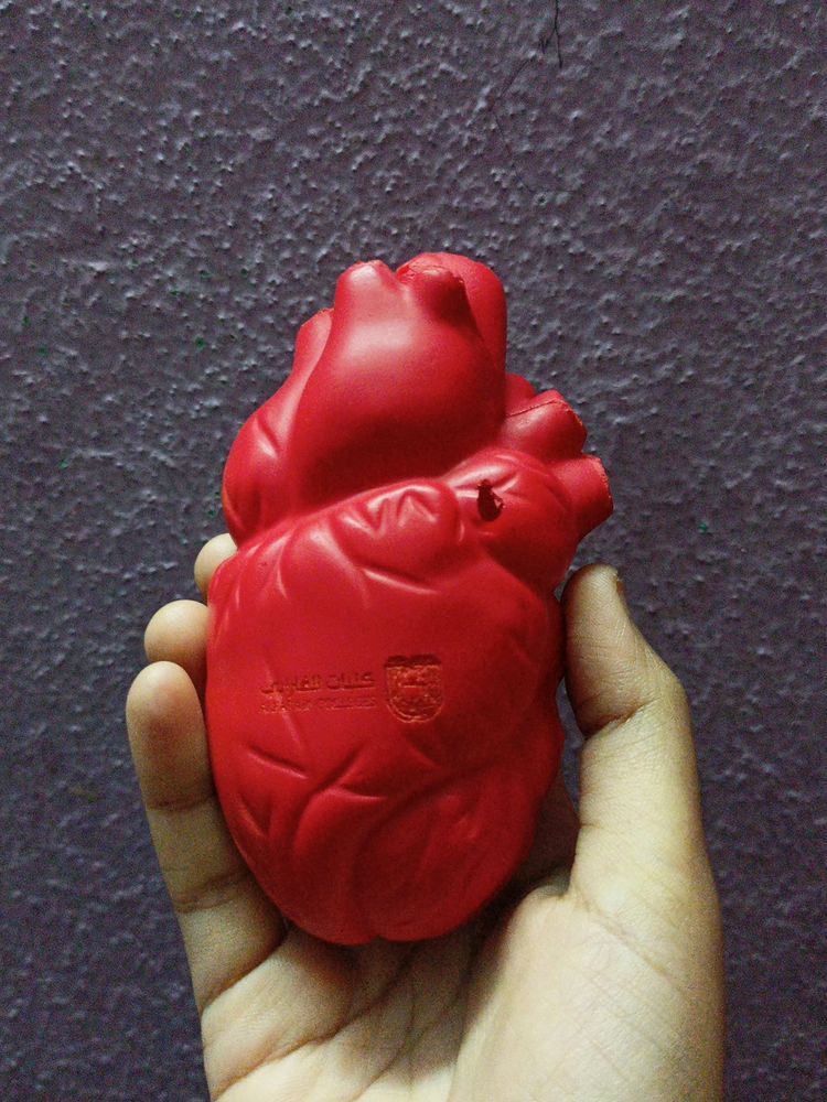 Stress Relief Squeezable Heart