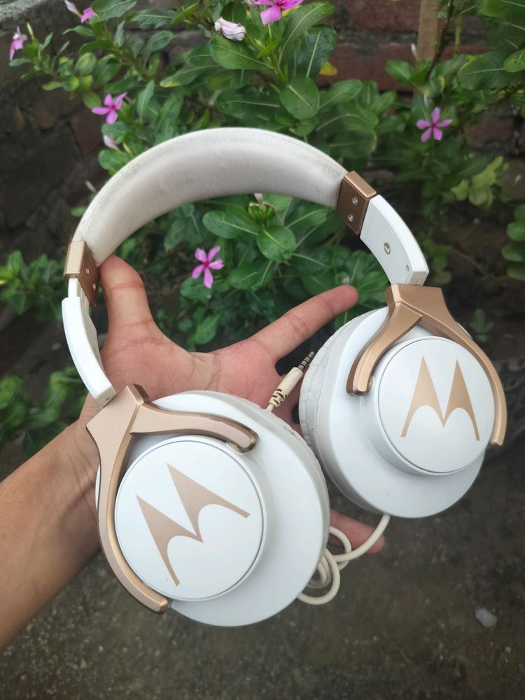 Motorola Headphone