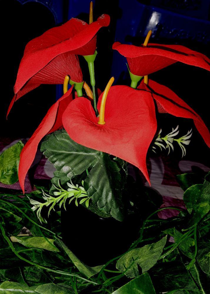 Artificial Anthurium Red Flower With Pot