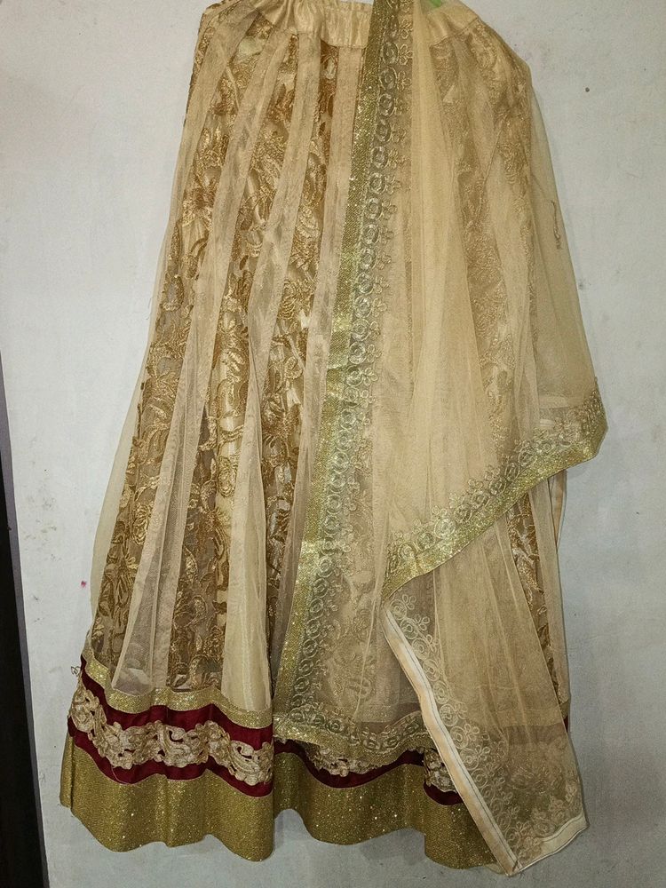 Lehenga With Dupatta Without Choli