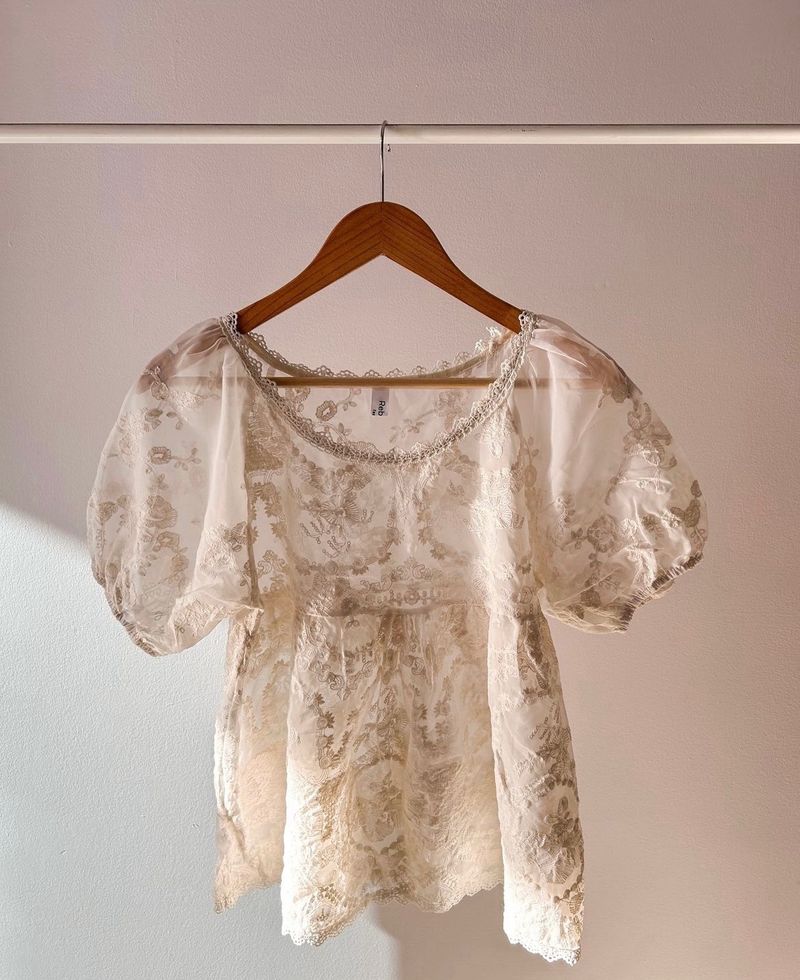 Puff Sleeved Lace Embroidery Sheer Top