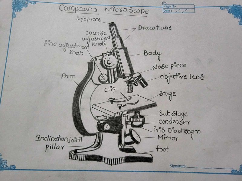 ZOOLOGY  Diagrams  For Student