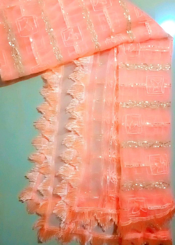 Very Pretty Fence Net Dupatta