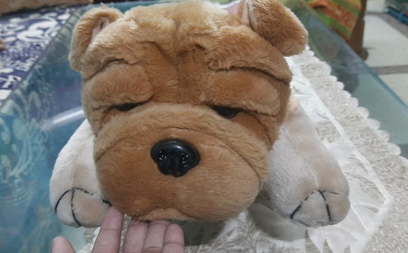 Cute Soft Toy Of Dog