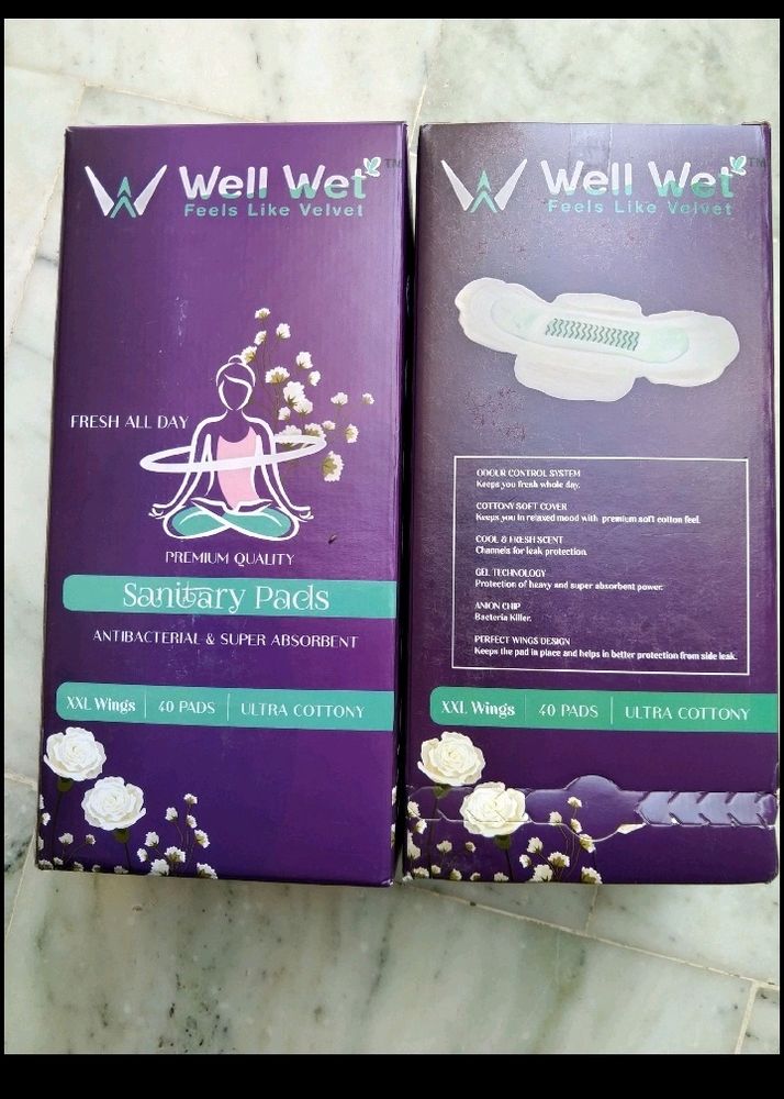 Wellwet Pads 2 Box