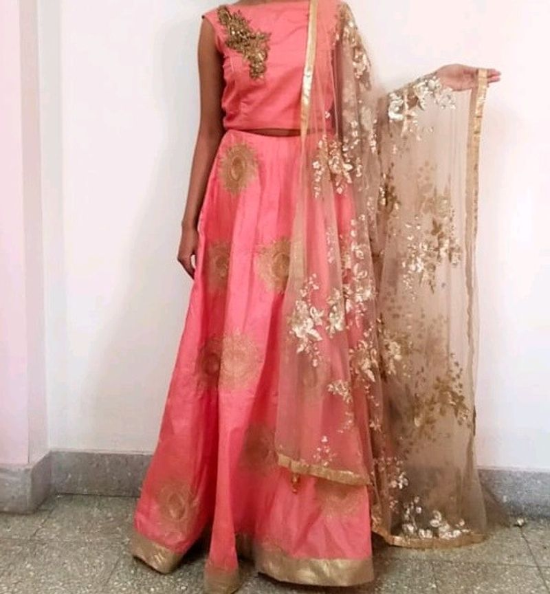 Pink Lehenga Choli