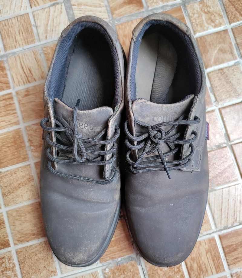 Comfeet Shoes (41)